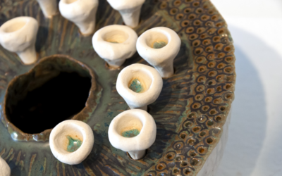 Featured Member Exhibition: Brian Breider